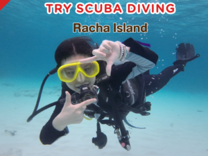 PK.11 โปรแกรม ทดลองดำน้ำลึกที่เกาะราชาใหญ่ สำหรับลูกค้าไม่มีบัตร