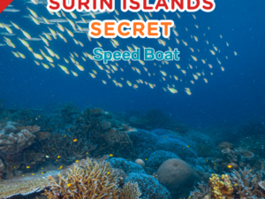 PK.23 ทัวร์หมู่เกาะสุรินทร์ Secret By Speed Boat