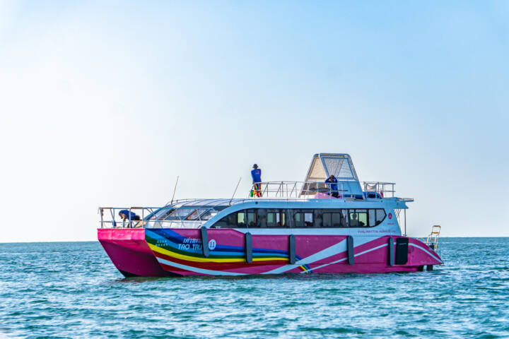 Lazy หมู่เกาะพีพี – เกาะไข่แมว By Speed Catamaran